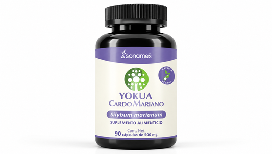 YOKUA Cardo Mariano 10% Descuento